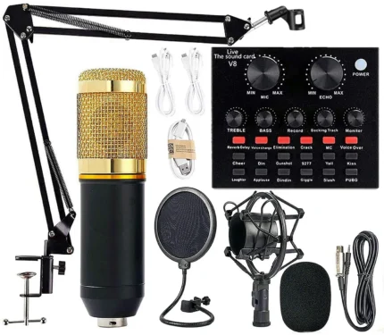 BM 800 Professional Condenser Microphone: Capture high-quality audio with clarity and precision